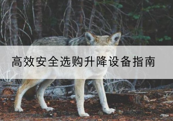 商水升降货梯厂家推荐-*安全选购升降设备指南