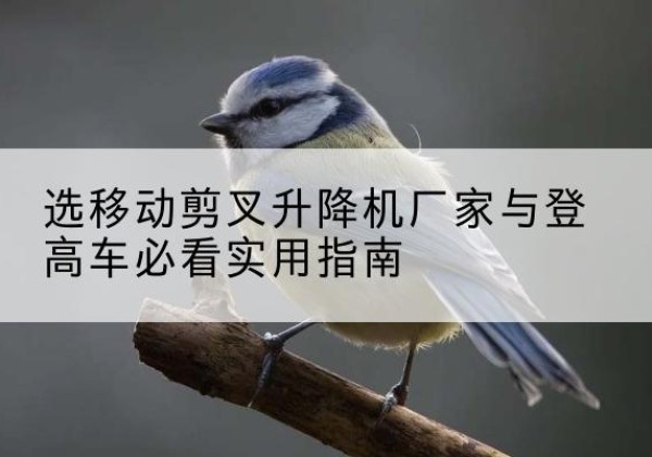 商水电动升降机厂家-选移动剪叉升降机厂家与登高车必看实用指南