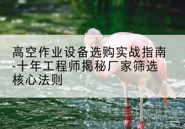 商水剪叉式升降机厂家-高空作业设备选购实战指南-十年工程师揭秘厂家筛选核心法则